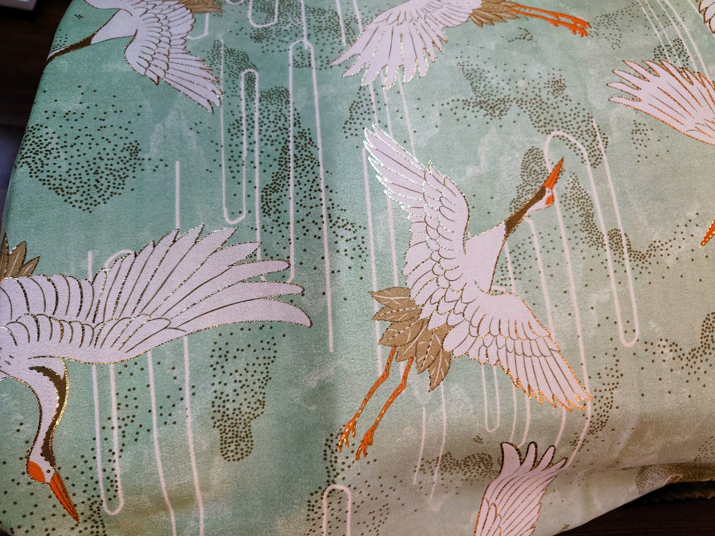 Mujiuchen Guzheng Cover