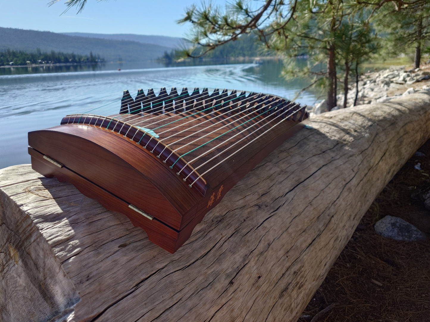 Haitang Guzheng 43" Travel-size Indian Rosewood “Little Begonia"