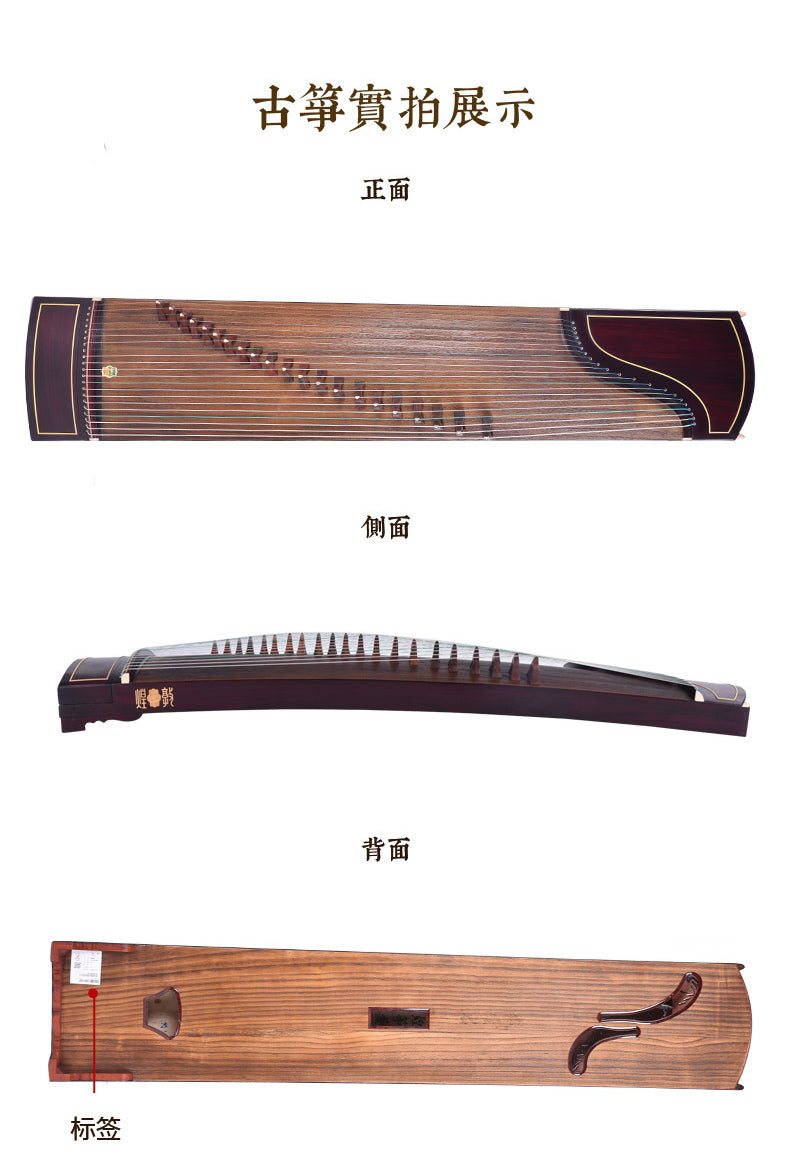 Dunhuang Indian/South American Rosewood 698O Guzheng